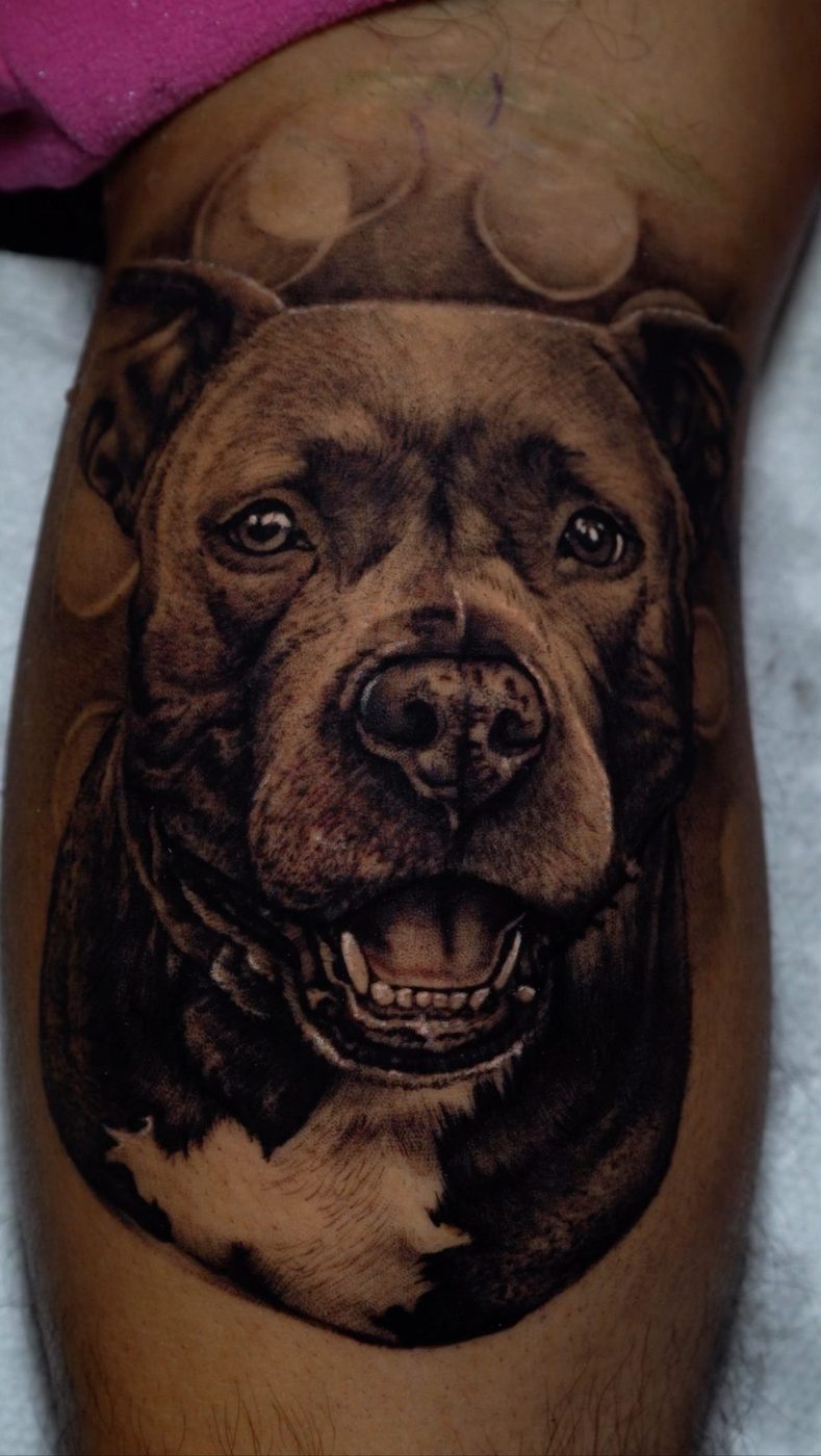 Color tattoo by Estaban at Soul Kraft Ink in Asbury Park, New Jersey